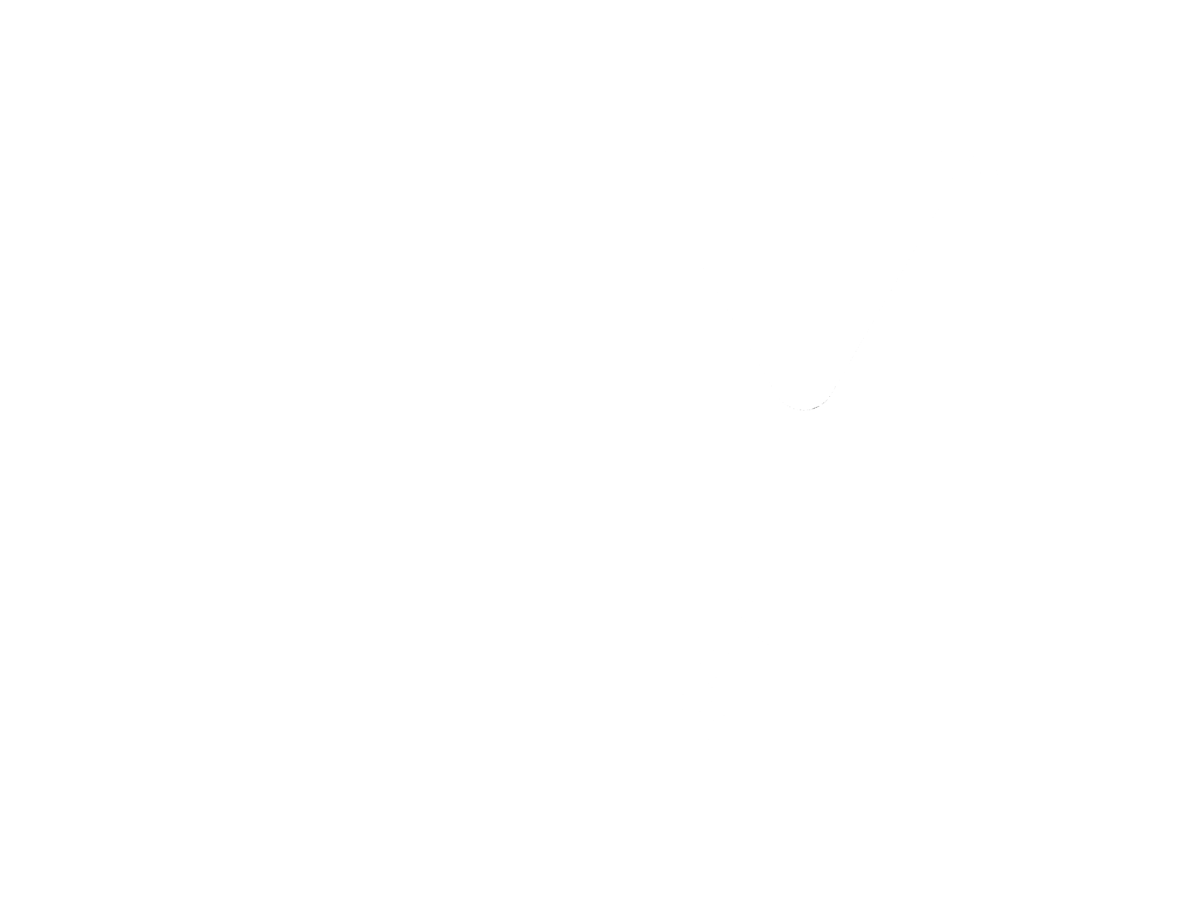 YMCA